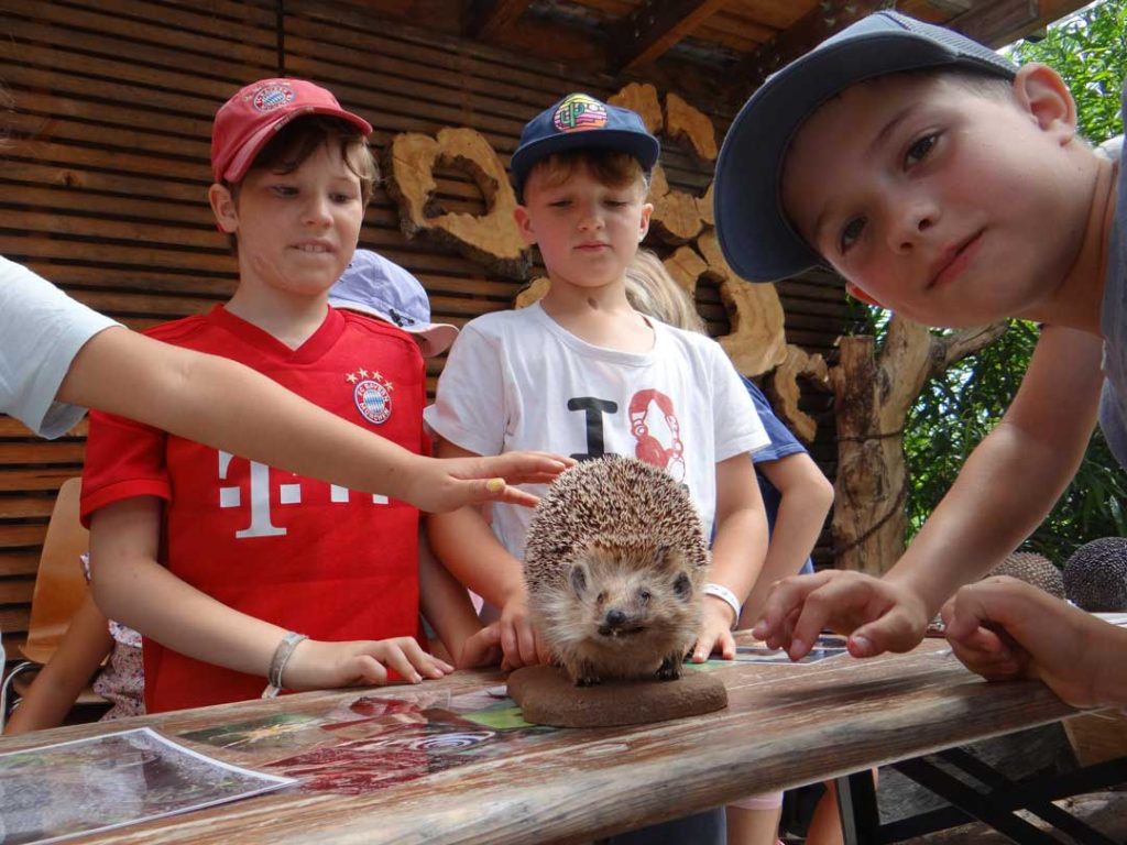 Projekttage FES Grundschule 2024: Ausflug in das Grüne Klassenzimmer im Brenzpark