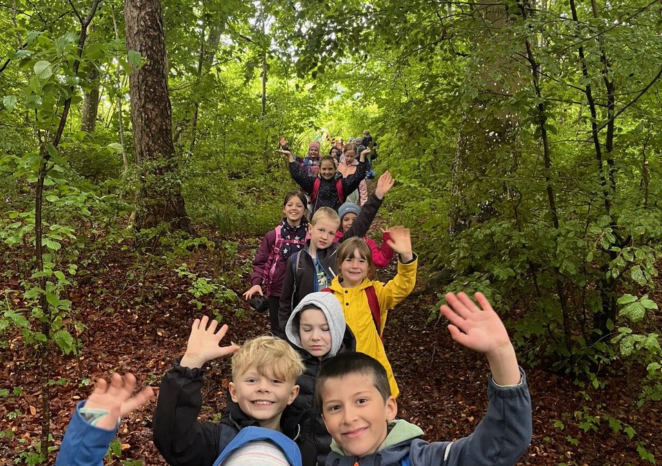 FES Grundschule auf Erkundung