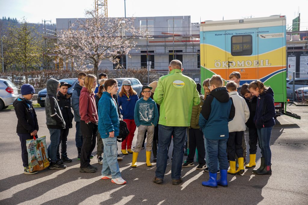 Die Schülerinnen und Schüler der 5. Klassen der FES konnten im Rahmen des Aktionstages „Ökomobil“ einen besonderen Blick in die Brenz und die sich dort befindenden Lebewesen werfen.