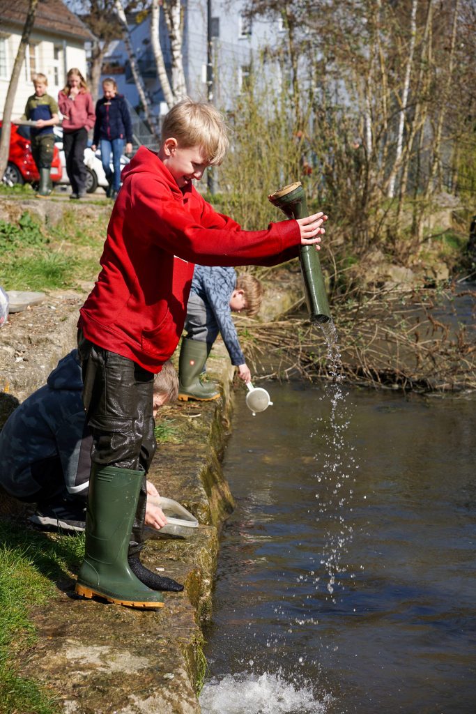 Die Schülerinnen und Schüler der 5. Klassen der FES konnten im Rahmen des Aktionstages „Ökomobil“ einen besonderen Blick in die Brenz und die sich dort befindenden Lebewesen werfen.