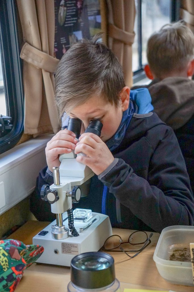 Die Schülerinnen und Schüler der 5. Klassen der FES konnten im Rahmen des Aktionstages „Ökomobil“ einen besonderen Blick in die Brenz und die sich dort befindenden Lebewesen werfen.