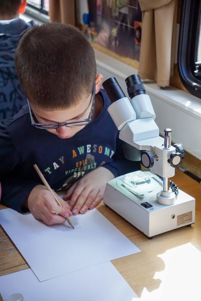 Die Schülerinnen und Schüler der 5. Klassen der FES konnten im Rahmen des Aktionstages „Ökomobil“ einen besonderen Blick in die Brenz und die sich dort befindenden Lebewesen werfen.