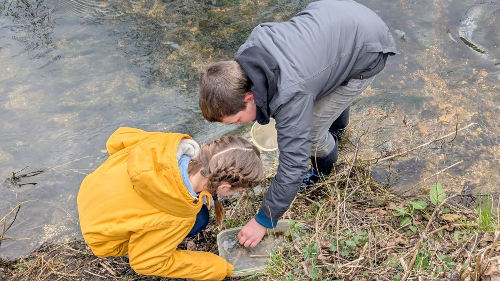 Die Schülerinnen und Schüler der 5. Klassen der FES konnten im Rahmen des Aktionstages „Ökomobil“ einen besonderen Blick in die Brenz und die sich dort befindenden Lebewesen werfen.