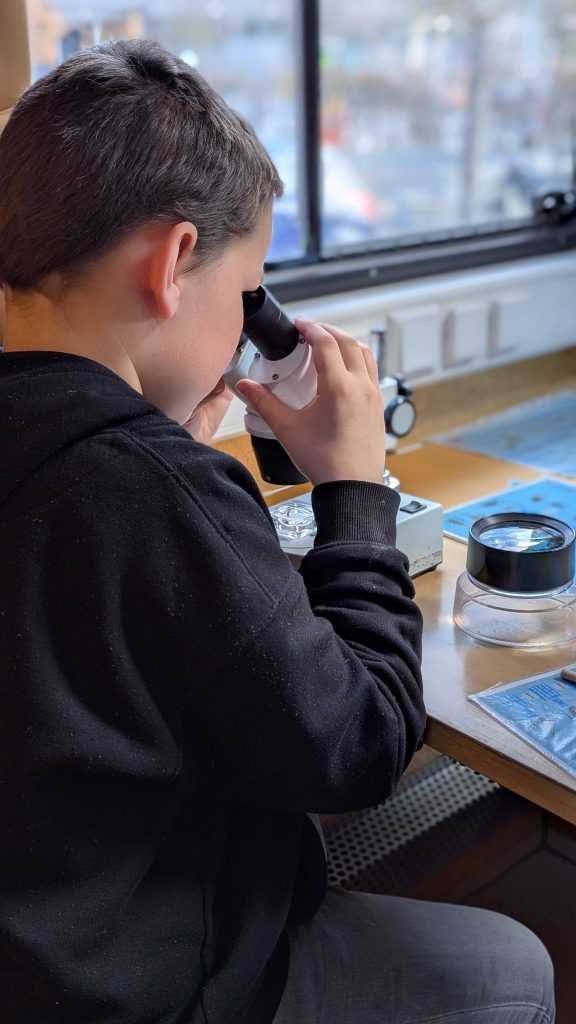 Die Schülerinnen und Schüler der 5. Klassen der FES konnten im Rahmen des Aktionstages „Ökomobil“ einen besonderen Blick in die Brenz und die sich dort befindenden Lebewesen werfen.