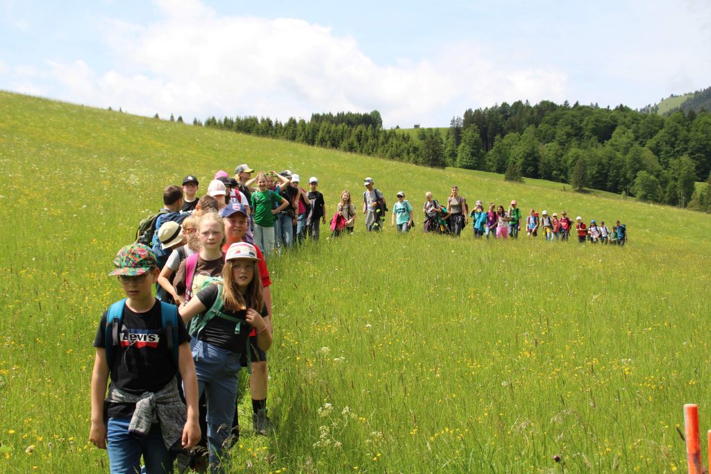 Auch dieses Jahr konnten unsere 5. Klässler wieder „Ganz-Schön-Mutig-Tage“ im Allgäu erleben und dabei gemeinsam die Bergwelt rund um Unter- und Oberjoch zu erkunden.