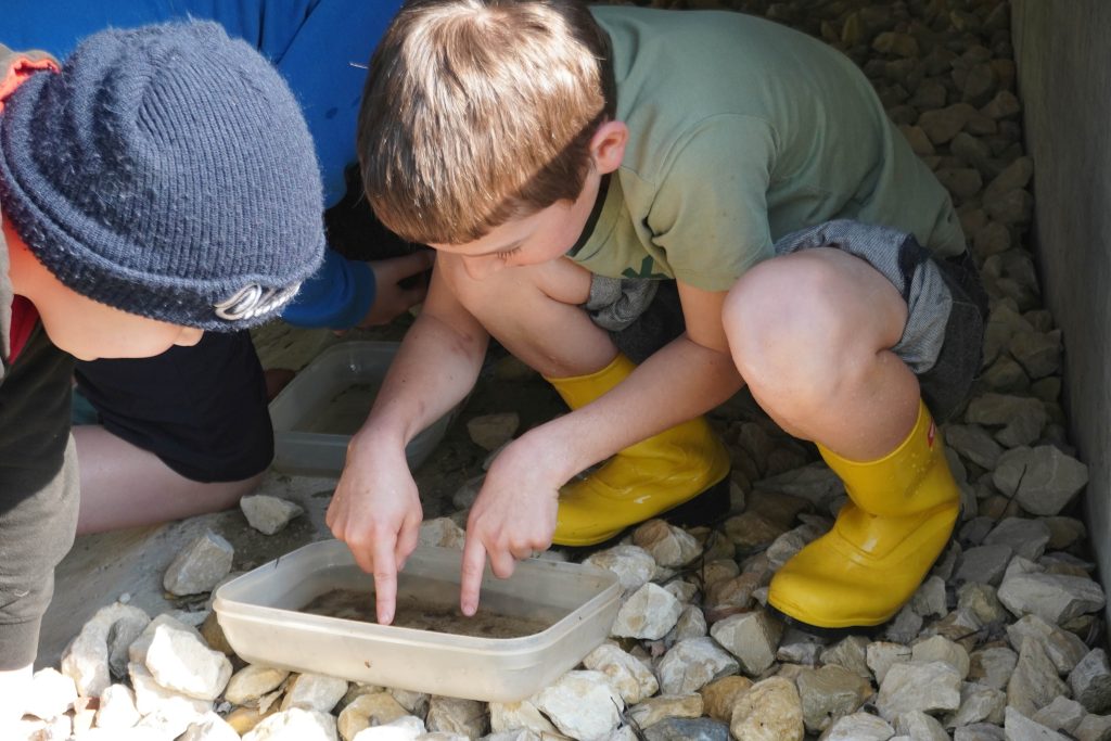 BLOG-Beitrag
Forschen in Gummistiefeln: Fünftklässler von FES-Gymnasium und FES-Realschule untersuchen die Brenz
Wenn das Ökomobil der staatlichen Naturschutzverwaltung Baden-Württemberg Halt macht, verwandelt sich die Natur in ein Freiluft-Klassenzimmer. Mit Neugier und Tatendrang ließen sich die Schülerinnen und Schüler der Jahrgangsstufe 5 unseres FES-Gymnasiums und unserer FES-Realschule auf dieses Abenteuer ein.
An zwei Vormittagen erkundeten die jungen Gymnasiasten und Realschüler die heimische Brenz und wurden dabei fachkundig von den Naturschützern des Ökomobils begleitet und angeleitet. Die jungen Forschenden stiegen ins kühle Nass, nahmen Proben und brachten ihre Funde ins rollende Naturschutzlabor. 
Die gefundenen winzigen Wasserlebewesen wurden unter dem Mikroskop und der Lupe genau betrachtet und systematisch zugeordnet. 
Dabei lernten unsere Fünftklässler nicht nur, dass das klare Wasser der Brenz ein erstaunlich artenreiches Biotop ist, sondern leiteten auch konkrete Maßnahmen zum Schutz dieser Lebewesen ab.
So machte Biologie-Unterricht gleich doppelt Spaß…!


