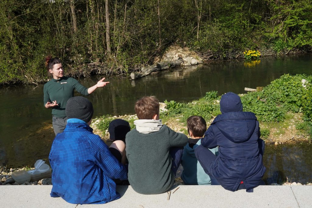 BLOG-Beitrag
Forschen in Gummistiefeln: Fünftklässler von FES-Gymnasium und FES-Realschule untersuchen die Brenz
Wenn das Ökomobil der staatlichen Naturschutzverwaltung Baden-Württemberg Halt macht, verwandelt sich die Natur in ein Freiluft-Klassenzimmer. Mit Neugier und Tatendrang ließen sich die Schülerinnen und Schüler der Jahrgangsstufe 5 unseres FES-Gymnasiums und unserer FES-Realschule auf dieses Abenteuer ein.
An zwei Vormittagen erkundeten die jungen Gymnasiasten und Realschüler die heimische Brenz und wurden dabei fachkundig von den Naturschützern des Ökomobils begleitet und angeleitet. Die jungen Forschenden stiegen ins kühle Nass, nahmen Proben und brachten ihre Funde ins rollende Naturschutzlabor. 
Die gefundenen winzigen Wasserlebewesen wurden unter dem Mikroskop und der Lupe genau betrachtet und systematisch zugeordnet. 
Dabei lernten unsere Fünftklässler nicht nur, dass das klare Wasser der Brenz ein erstaunlich artenreiches Biotop ist, sondern leiteten auch konkrete Maßnahmen zum Schutz dieser Lebewesen ab.
So machte Biologie-Unterricht gleich doppelt Spaß…!

