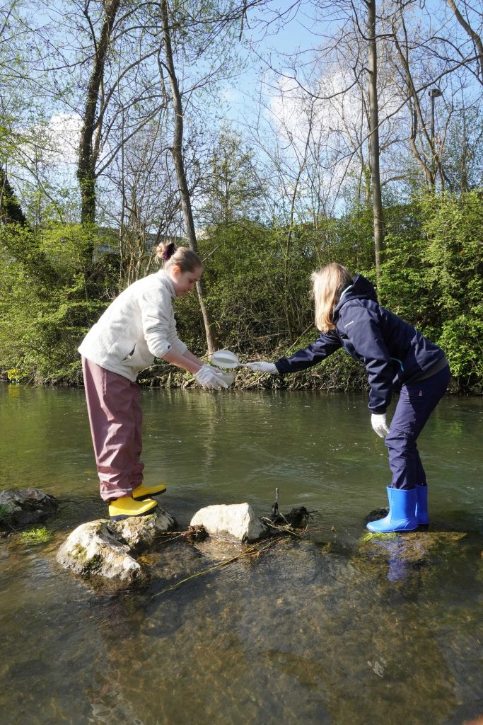 BLOG-Beitrag
Forschen in Gummistiefeln: Fünftklässler von FES-Gymnasium und FES-Realschule untersuchen die Brenz
Wenn das Ökomobil der staatlichen Naturschutzverwaltung Baden-Württemberg Halt macht, verwandelt sich die Natur in ein Freiluft-Klassenzimmer. Mit Neugier und Tatendrang ließen sich die Schülerinnen und Schüler der Jahrgangsstufe 5 unseres FES-Gymnasiums und unserer FES-Realschule auf dieses Abenteuer ein.
An zwei Vormittagen erkundeten die jungen Gymnasiasten und Realschüler die heimische Brenz und wurden dabei fachkundig von den Naturschützern des Ökomobils begleitet und angeleitet. Die jungen Forschenden stiegen ins kühle Nass, nahmen Proben und brachten ihre Funde ins rollende Naturschutzlabor. 
Die gefundenen winzigen Wasserlebewesen wurden unter dem Mikroskop und der Lupe genau betrachtet und systematisch zugeordnet. 
Dabei lernten unsere Fünftklässler nicht nur, dass das klare Wasser der Brenz ein erstaunlich artenreiches Biotop ist, sondern leiteten auch konkrete Maßnahmen zum Schutz dieser Lebewesen ab.
So machte Biologie-Unterricht gleich doppelt Spaß…!

