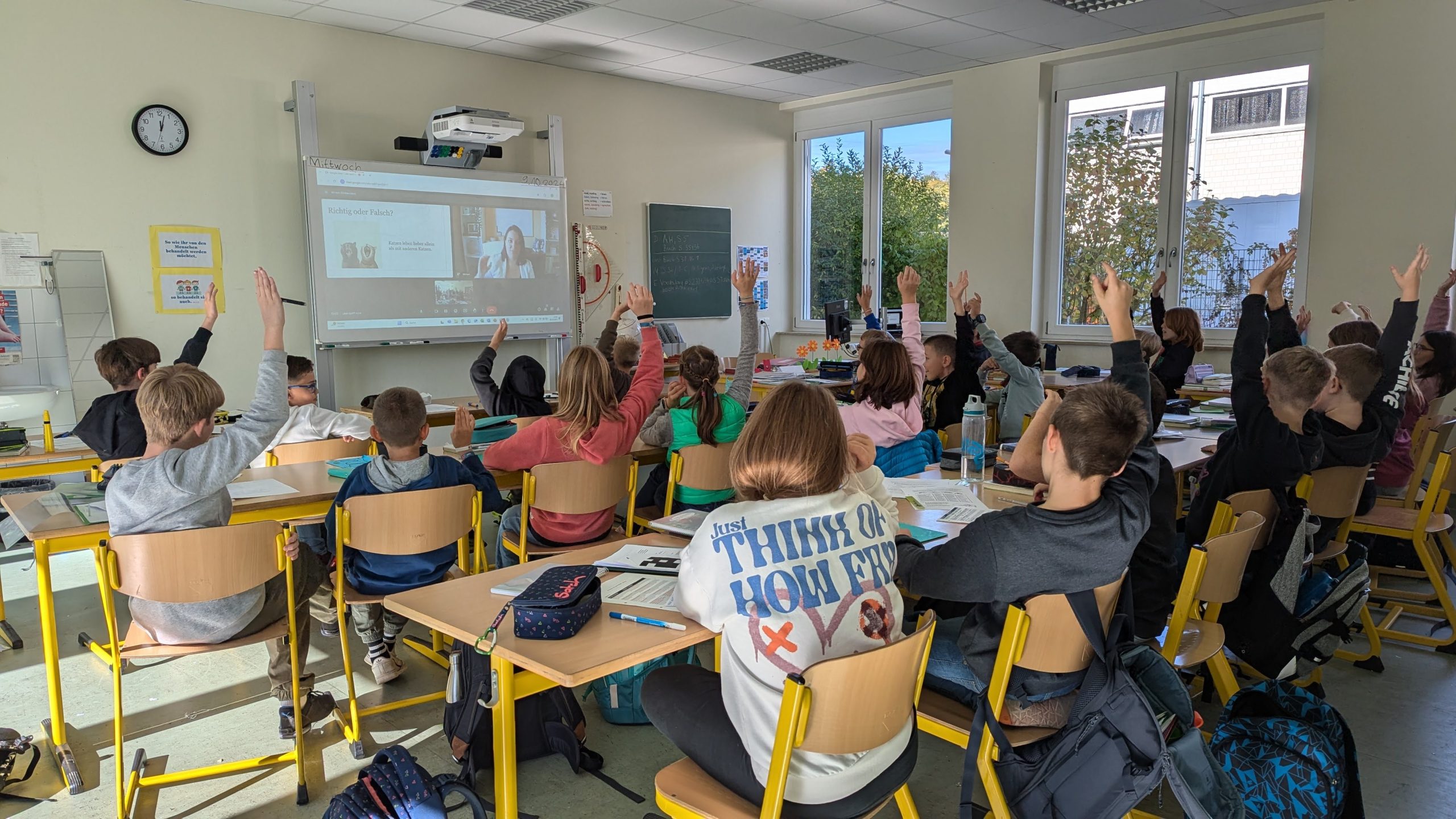 Eine Katzentrainerin besuchte unsere Jahrgangsstufe 5 unserer FES Realschule und unseres FES Gymnasium.