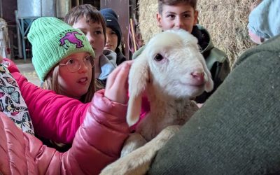 NaturErleben: Ein Besuch bei der Schäferei Wiedenmann