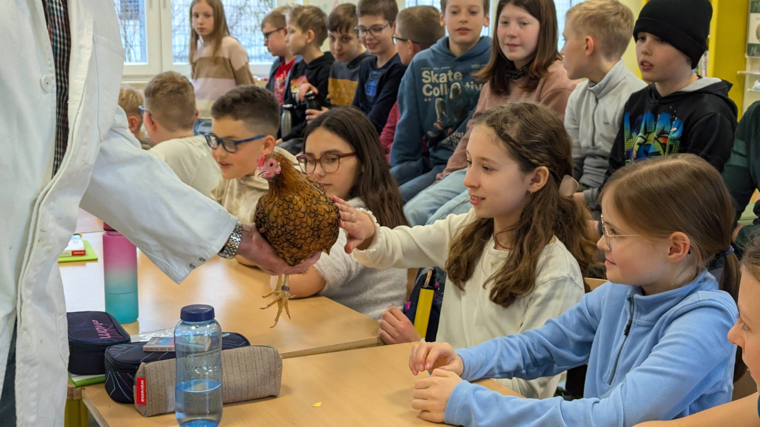 In dieser Woche bekamen wir im BNT-Unterricht der Jahrgangsstufe 5 einen ganz besonderen Besuch: Der renommierte Kleintierzüchter Hanspeter Wagner kam zu uns in die Schule und brachte verschiedene Hühner mit.