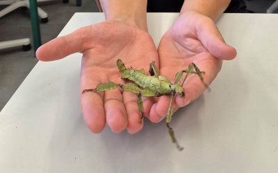 Tierisches Abenteuer: Spannende Exkursion zur Pädagogischen Hochschule Schwäbisch Gmünd